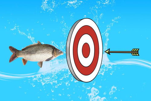 网购鱼饵和钓具的4点心得 从渔具销售角度挑选靠谱装备