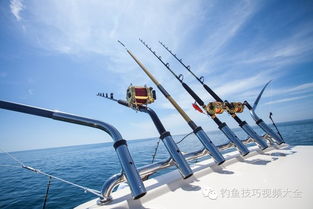 渔具销售指南 如何挑选一支适合钓大鱼的鱼竿